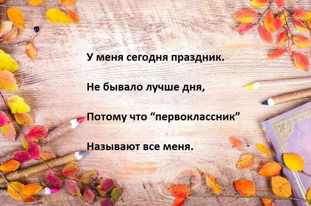 Стихи для первоклассников. Стих на 1 сентября первокласснику. Стихотворение на 1 сентября для первоклассников. Стихотворение для первоклассника.