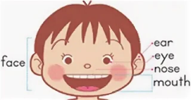 Тема my face. Face Parts Flashcards for Kids. Карточки Parts of the body Ears. My face карточки. Глаза нос рот на английском