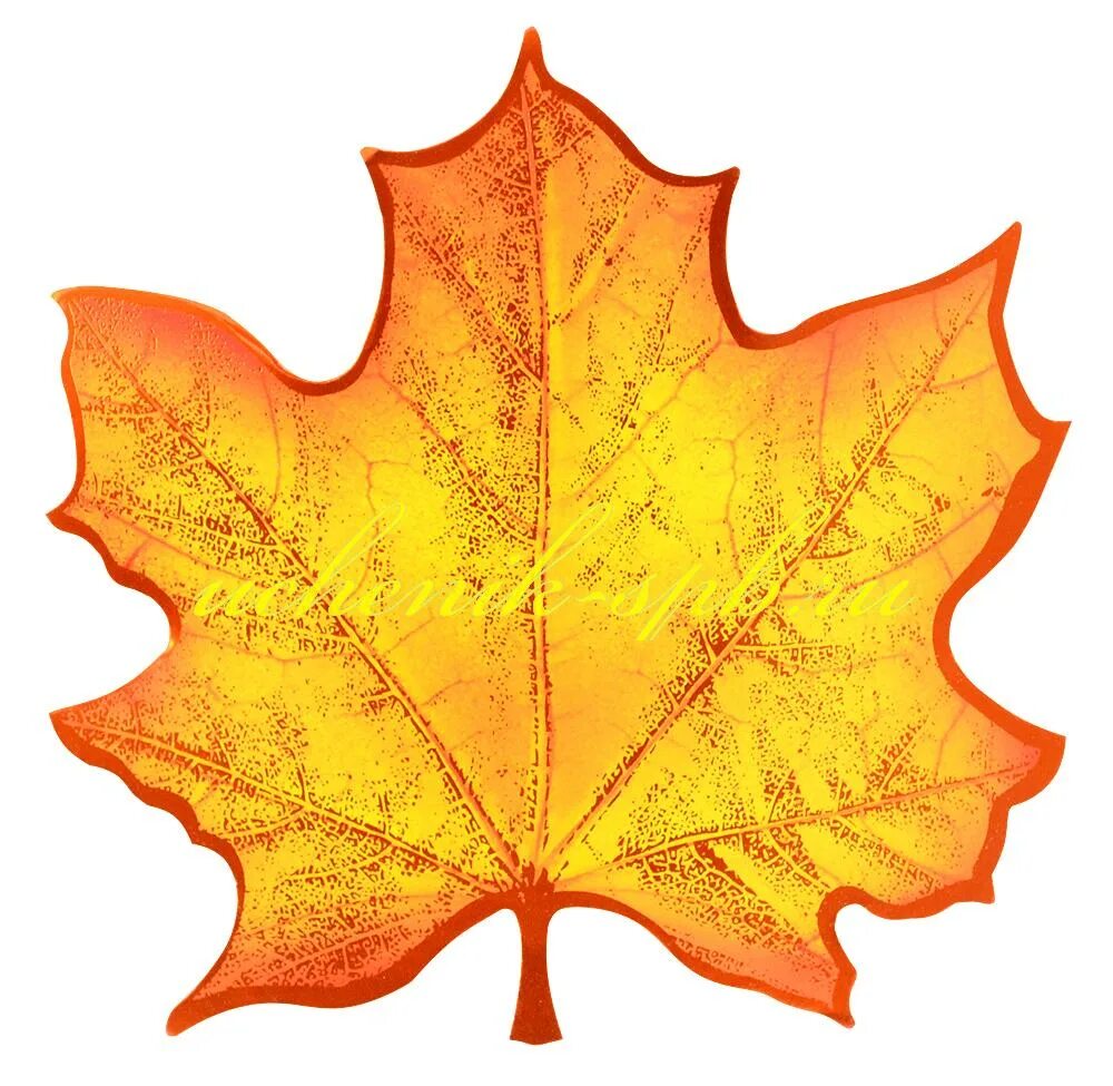 Листья клена 7. Кленовый лист 29.823.00. Кленовые листочки. Кленовый лист цветной. Осенние листья цветные.