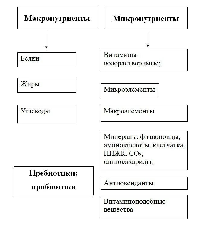 Нутриенты это. Микронутриенты. макронутриенты и микронутриенты это. к микронутриентам относятся. основные микронутриенты схема.