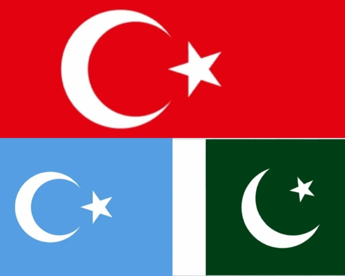 Флаг Восточной Турции. Флаги Турции и восточного Туркестана. Флаг восточного Туркестана. Флаг исламской Турции. Сколько звезд на флаге турции
