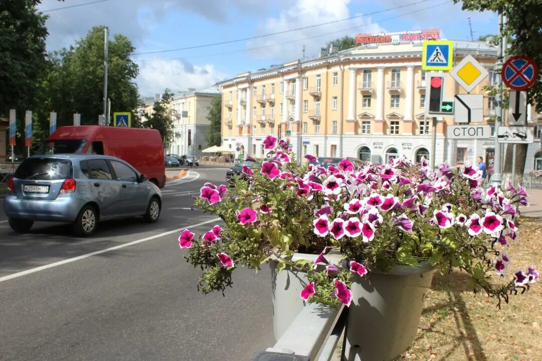 Воскресенский бульвар 13 цветочный магазин великий новгород. Букет с вопросом. Растения нижнего новгорода. Цветы про великий новгород. Цветы великий новгород.