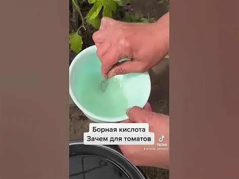 Как обработать огурцы борной кислотой и йодом