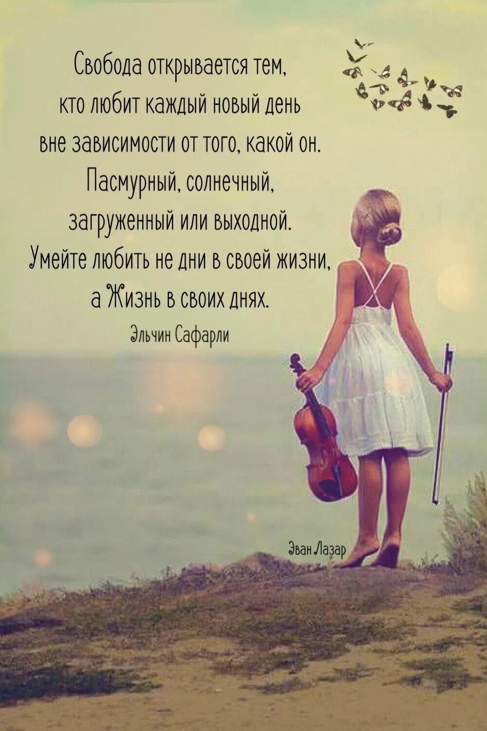 Такую бы жизнь каждому. Такую бы жизнь каждому