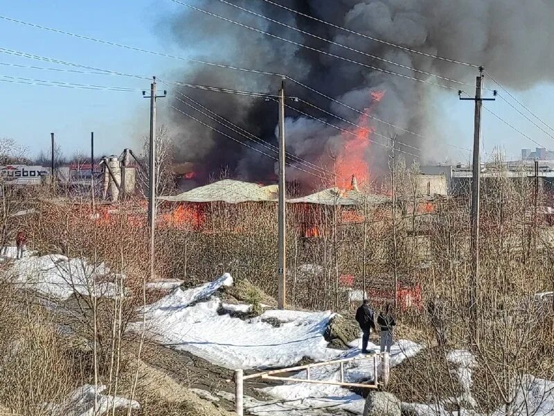 Пожар в Брянске. Пожар на производстве. Пожар на деревообрабатывающем предприятии. Пожар в Брянске большое Полпино. Предприятие сгорело