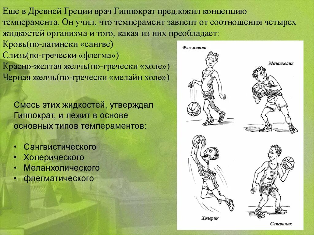 Что является физиологической основой темперамента. Физиологические основы темперамента.