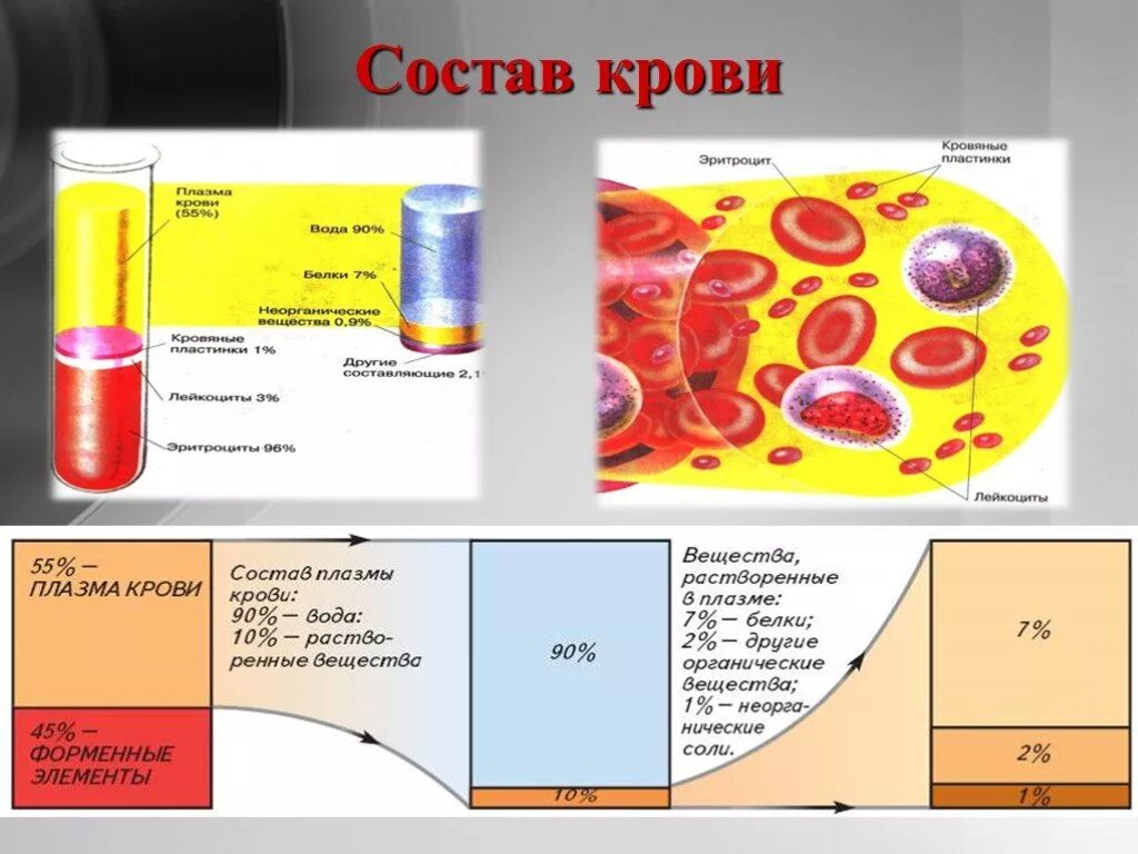 Кровь биология 11 класс. Состав плазмы крови 8 класс биология. Из чего состоит кровь человека схема. Состав крови плазма и форменные. Биология 9 класс состав и функции крови плазма крови.