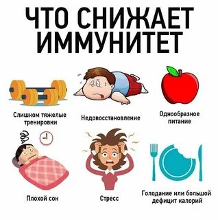 Факторы способствующие укреплению иммунитета