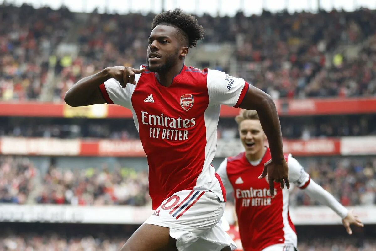 Forest arsenal. Forest arsenal