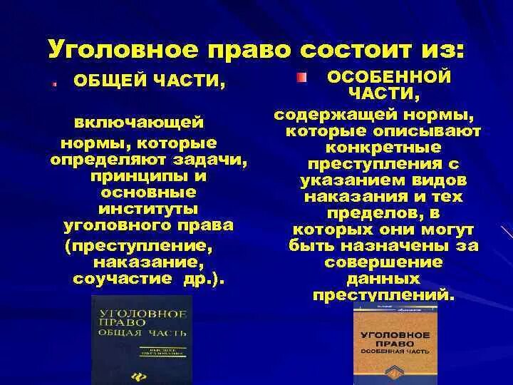 Уголовное законодательство состоит из. Из чего состоит уголовное законодательство. Институт уголовного наказания отрасль