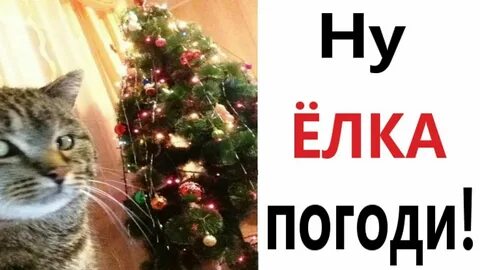 Ну елка