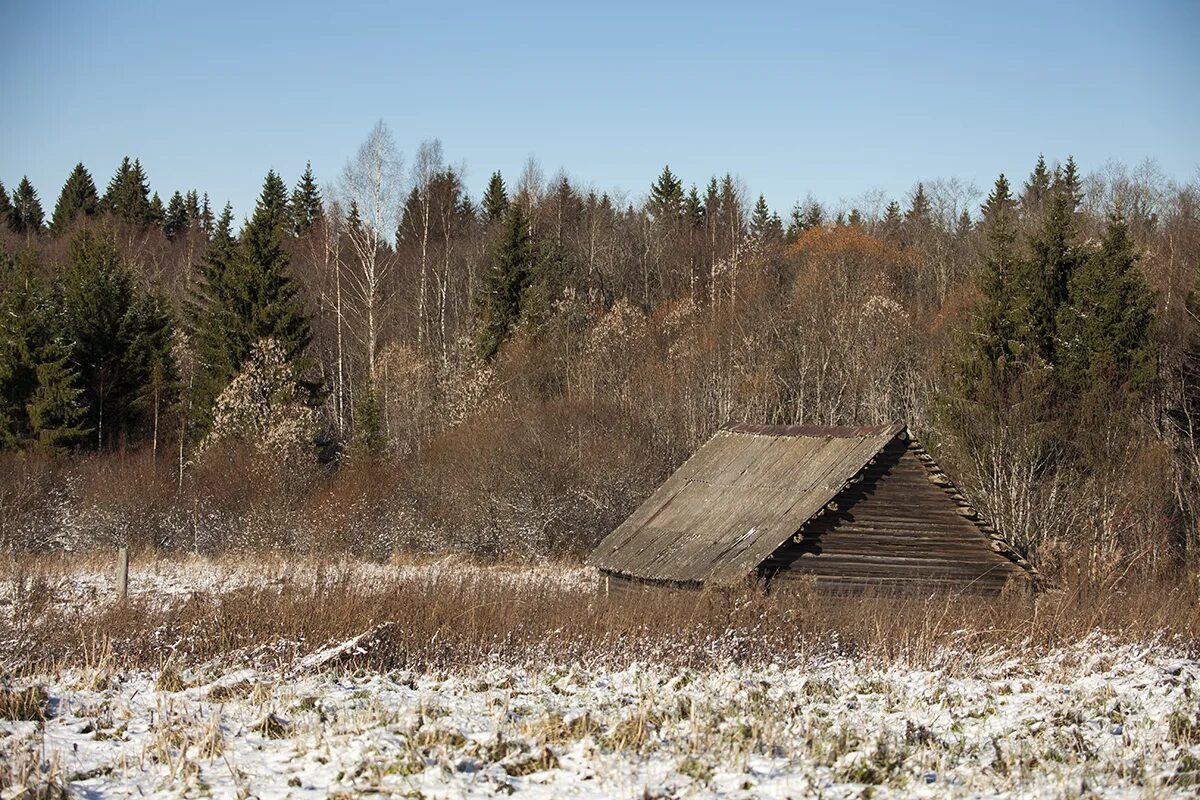 Другие сели в лесах. Поселок в лесу. Деревня Лесная. Поселение в лесу. Деревня в лесу.