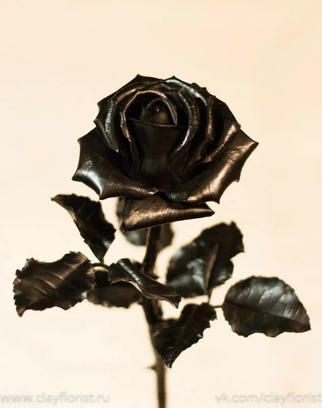 Черные розы натуральные. Черные с золотом розы.
