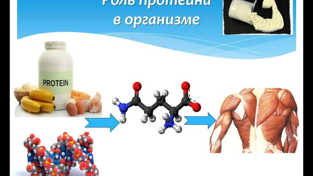 Строительный материал организма человека. Строительный материал организма человека. Фэлки строительный материал. Белки в продуктах питания. Пища строительный материал для организма иллюстрации.