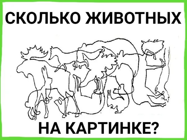 Картинки сколько изображено. Сколько животных на картинке. Сколько живетный на картинке. Сколько животных на рисунке. Картинки с количеством животных.