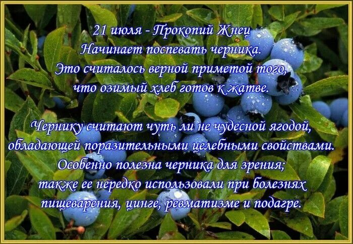 Приметы на 30 августа 2025 года народные. Народные приметы. 21 июля народный календарь приметы. народный календарь июнь. народные приметы на 21 июля.