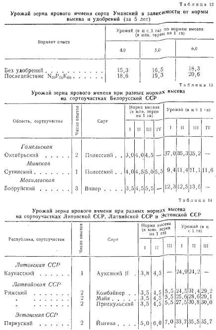 Норма высева ярового ячменя