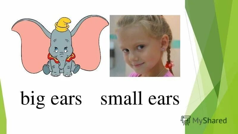 Big Ears small Ears. Big small Ears. Small Ears для детей. Small nose картинка. Small head на русском