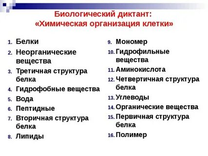 Химическая организация клетки