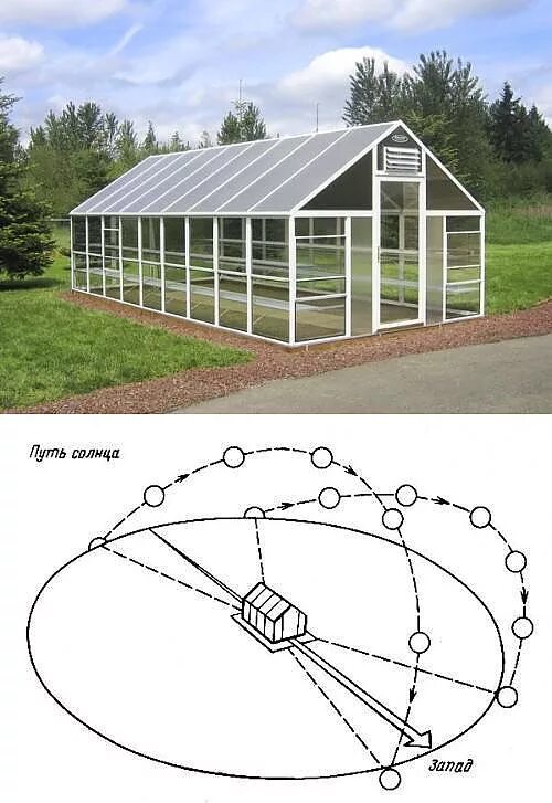 Грядки по сторонам света как правильно. Расположение теплицы. Расположение теплицы на участке. Теплица из поликарбоната по сторонам света. Расположение парника на участке.