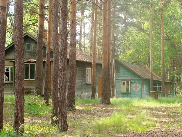 Пионерский лагерь озера. Лагерь Чайка Сосновый Бор. Лагерь Дружба в Рощино. Пионерский лагерь Сосновый Бор Ногинский район. Лагерь «Лесная Поляна» Пермский край.