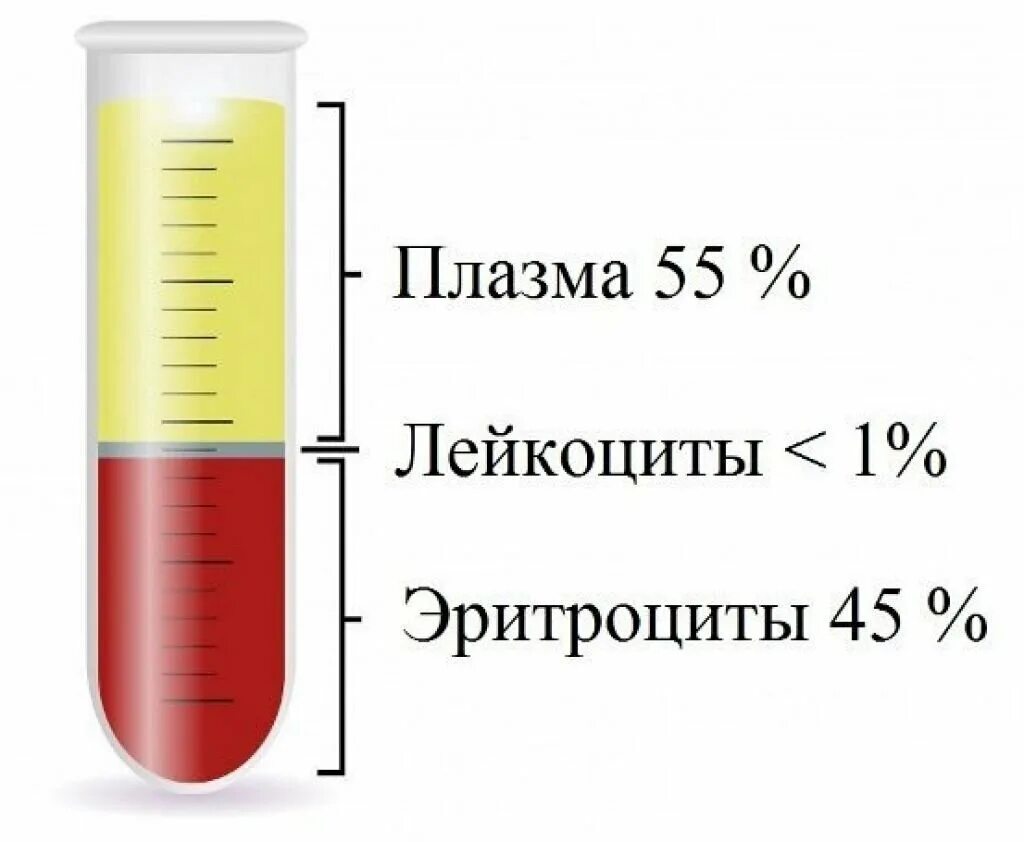 Соэ в крови 60 причины. СОЭ. Скорость оседания эритроцитов. Скорость оседания СОЭ. Плазма обогащенная тромбоцитами.