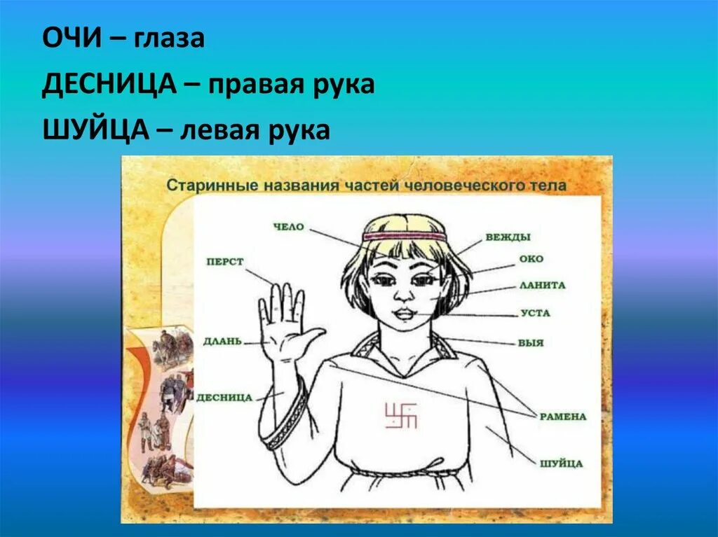 Выя человека. Старинные названия частей тела. Правая рука десница а левая рука. Что такое Длань в устаревших словах. Устаревшие названия частей тела.