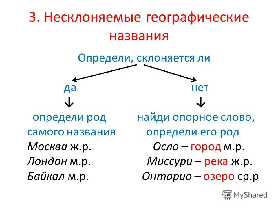 Род слова государство