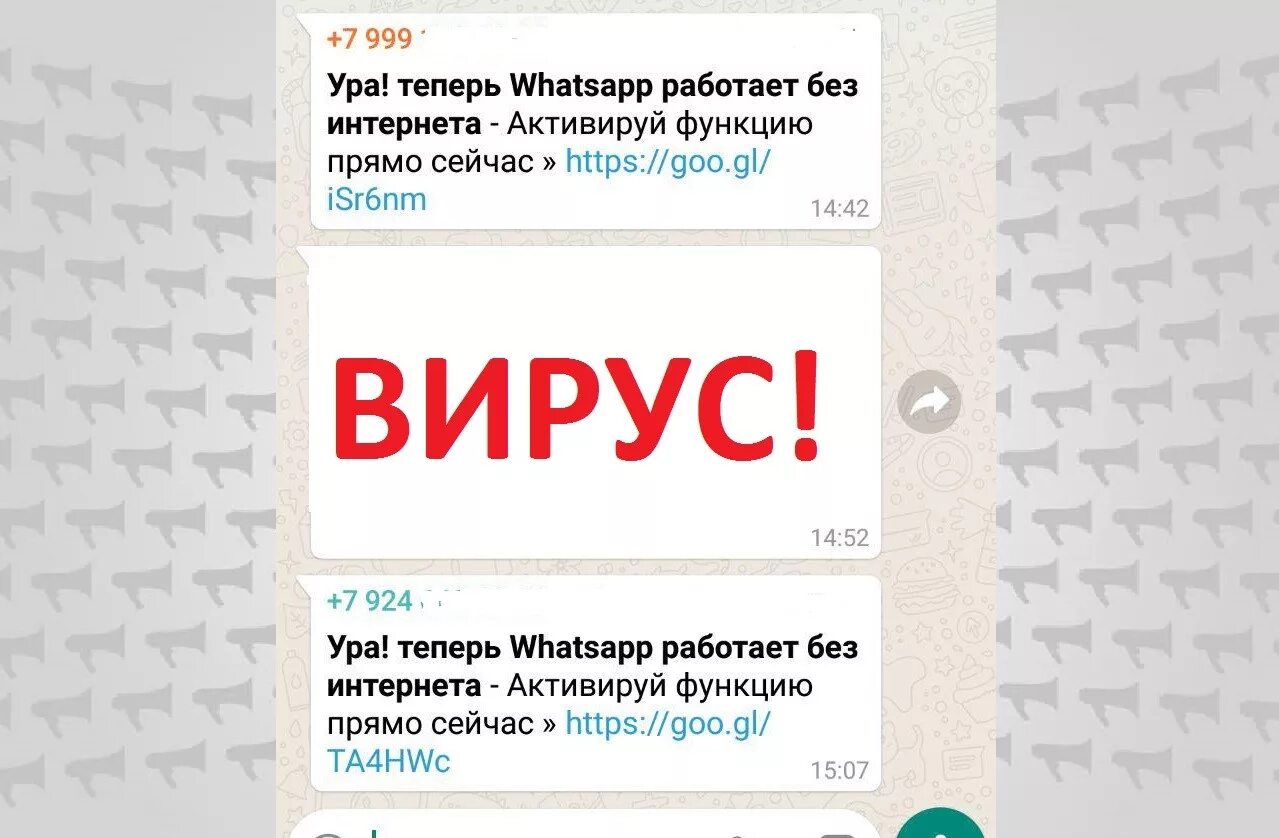 Есть ли вирусы в ватсапе