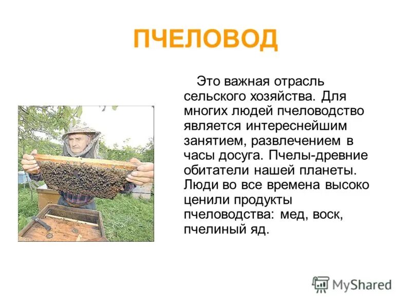 Проект для 4 класса пчеловодство