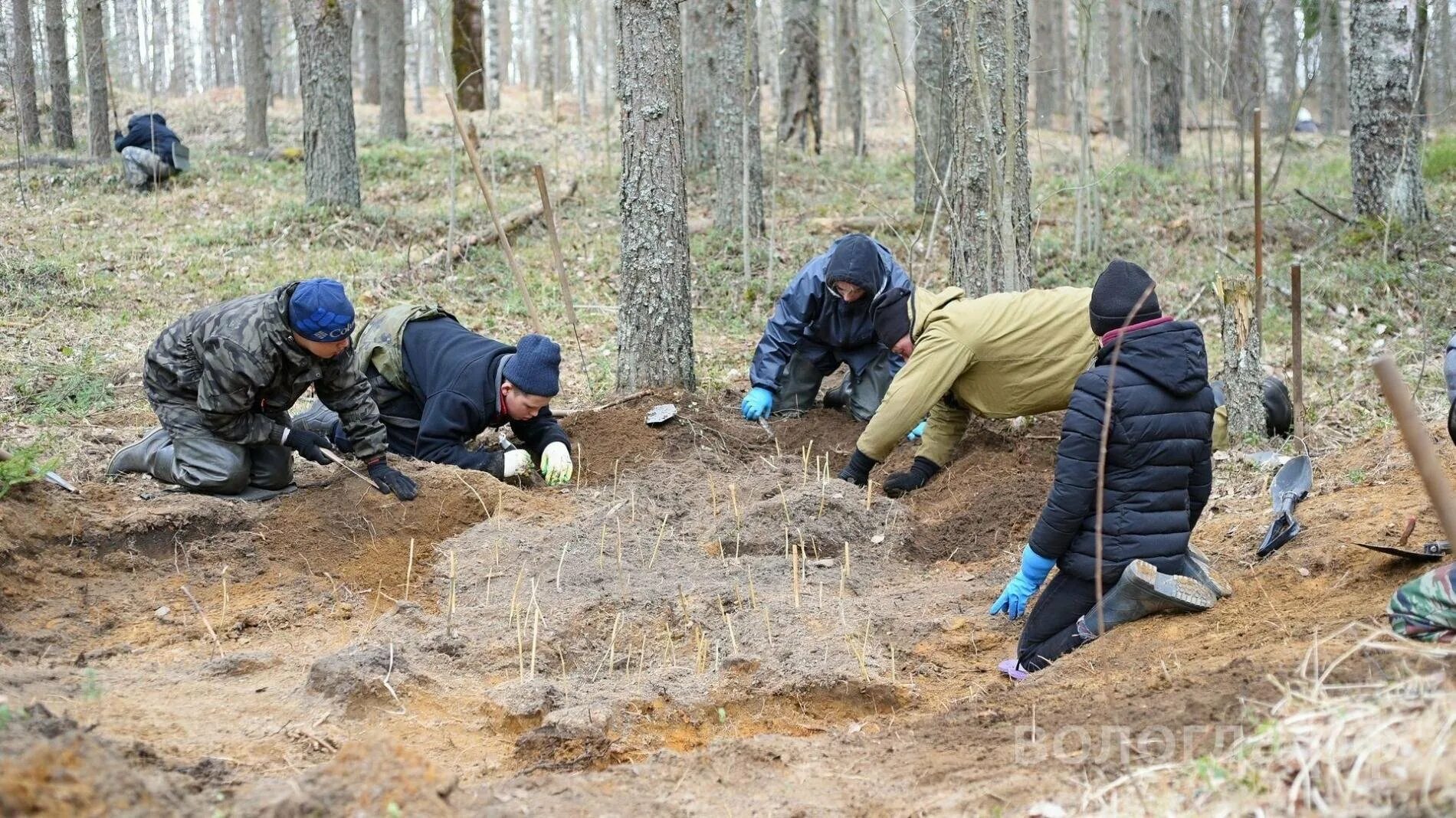 Поисковый отряд с металлоискателем. Поисковый отряд рубеж окопный олег. Рассказ о поисковом отряде. Создание поискового отряда. Зеленая верста поисковый отряд.