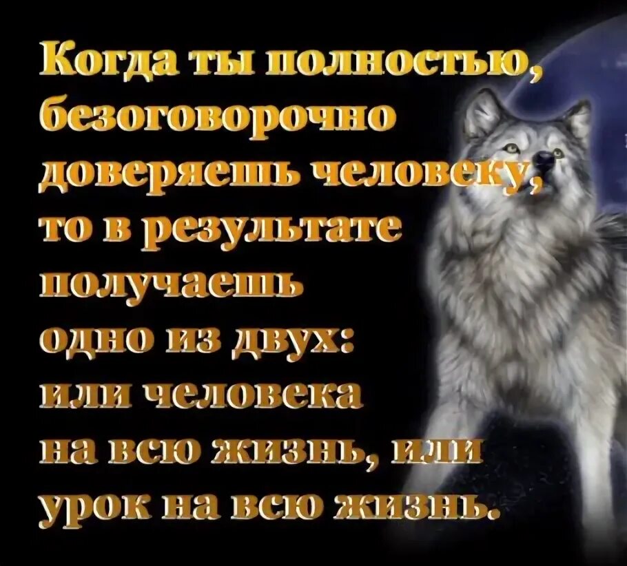 Безоговорочно верить. Когда ты безоговорочно доверяешь человеку. Когда ты полностью доверяешь человеку то получаешь. Волки и люди похожие судьбы цитаты. Безоговорочно.