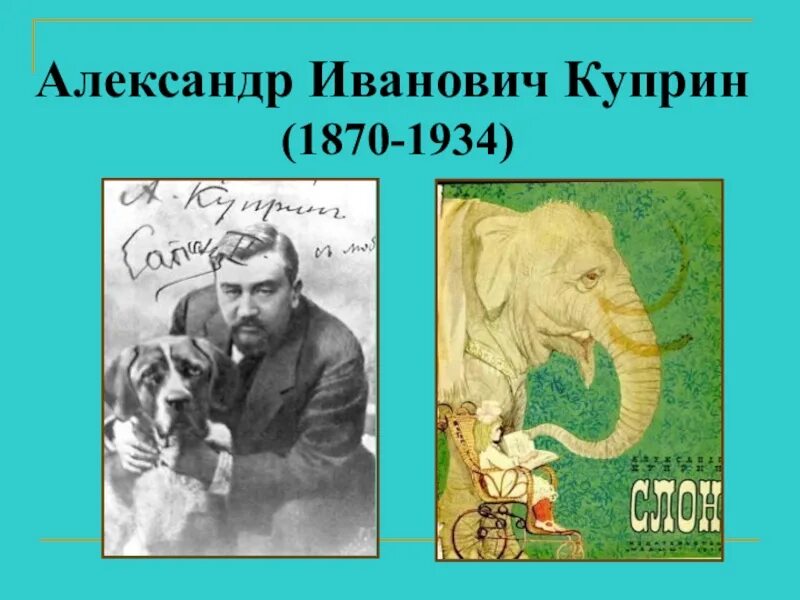 Куприн слон какое произведение. А. Куприн "а. Куприн слон". Куприн слон 3 класс школа России.