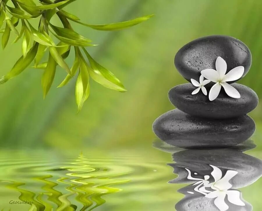 заставка фен шуй. аджна чакра мандала. мандала колодец акаши. клевер 4 листный. символы привлекающие удачу.