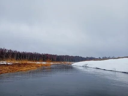 Лух 2024