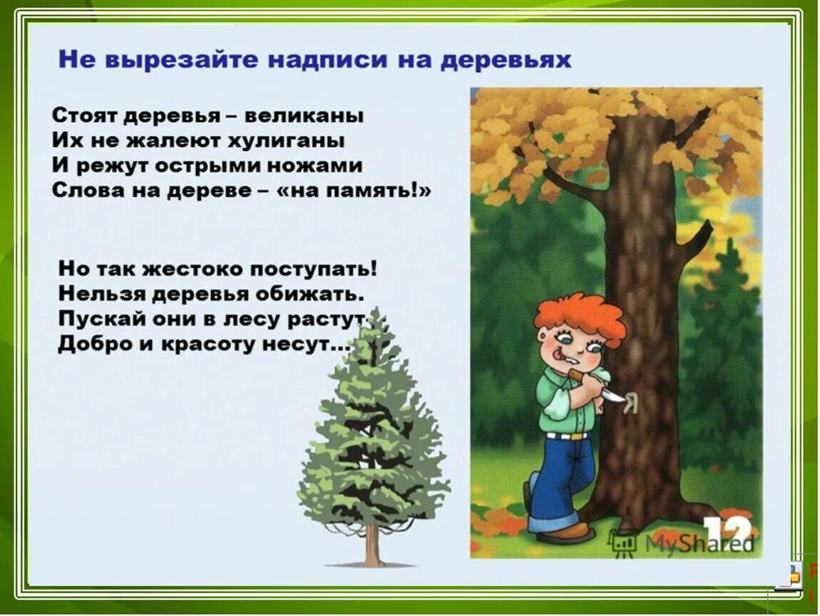 Как написать слово деревья. Поведение в лесу для дошкольников. Правила поведения в лесу. Правила поведения в Дему. Стихи о правилах поведения в лесу для детей.