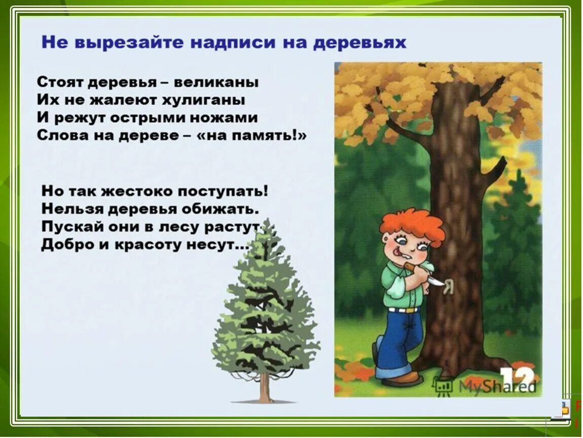 Поведение в лесу для дошкольников. Правила поведения в лесу. Правила поведения в Дему. Стихи о правилах поведения в лесу для детей. Как написать слово деревья