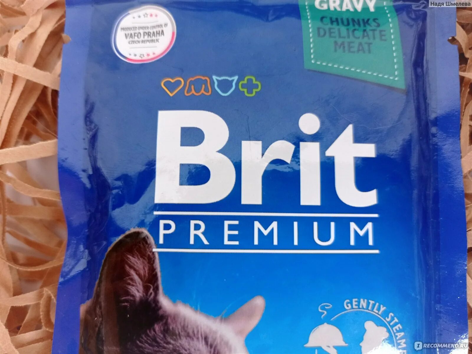 Влажные корма для кошек. Корм для кошек премиум. Корм для кошек Brit Premium влажный в банках. Корм для кошек премиальный ng.