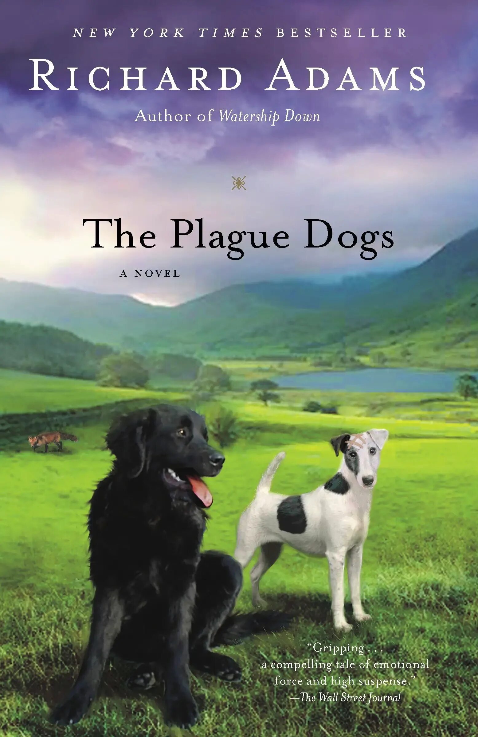 Book my dog. Plague Dogs. Книги про собак.