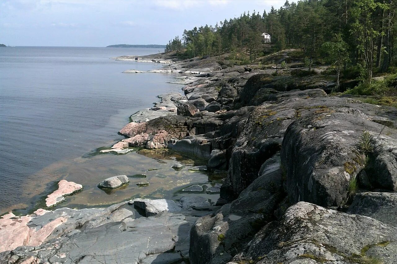 Ладожское озеро побережье. Мыс Морьин нос Ладога. Мыс Морье Ладожское озеро. Мыс Песоцкий нос Ладожское озеро. Мыс Скалистый Ладожское озеро.