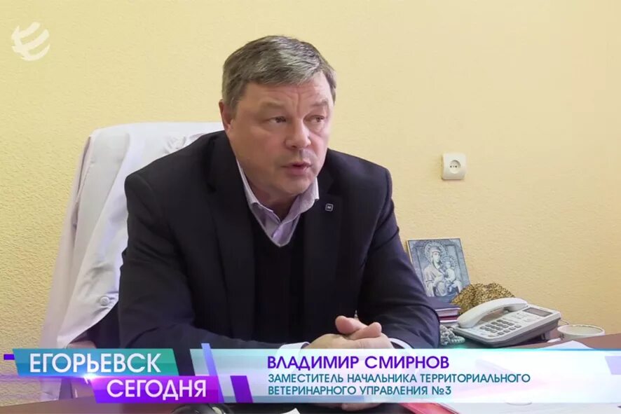 Егорьевское телевидение последний выпуск. Егорьевское тв последний выпуск. Егорьевск телевидение. Егорьевск телевидение. Егорьевск телевидение.