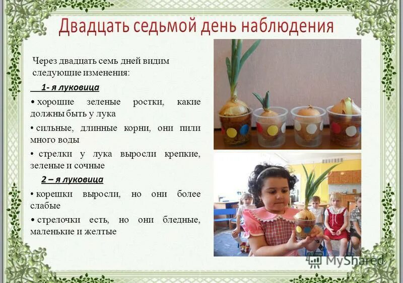 распределение результатов эксперимента. запиши результаты. запиши результаты опыта. запиши результаты опыта. проект на тему наблюдение за растениями.