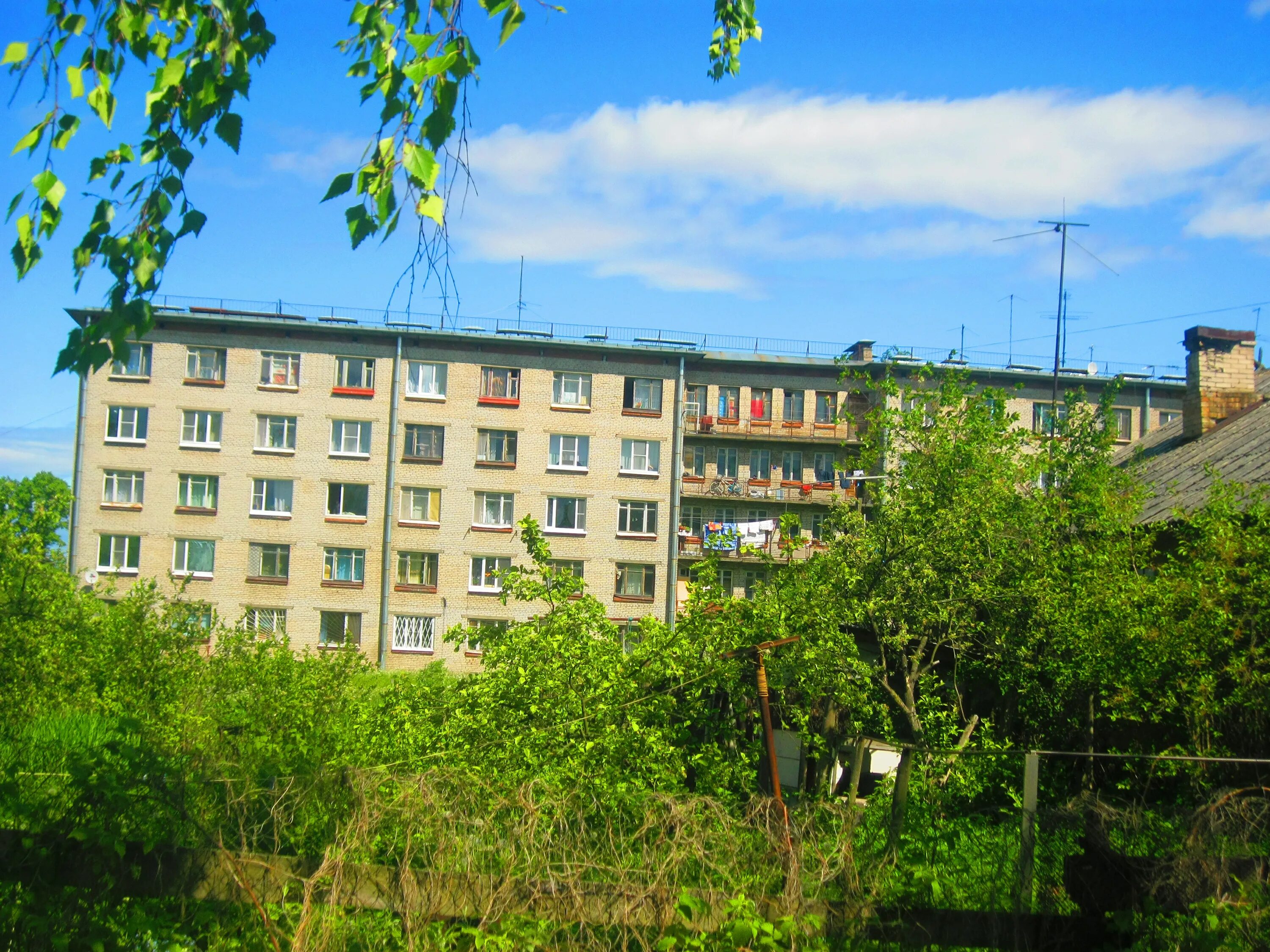 Санкт петербург политрука пасечника. Политрука Пасечника дом 17. Улица политрука Пасечника Санкт-Петербург.