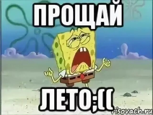 Прощай лет