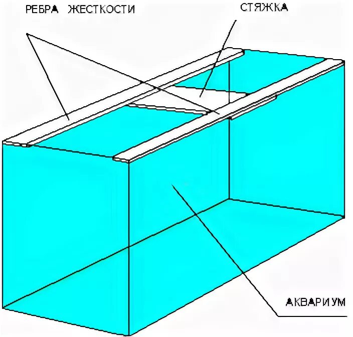 Ребра аквариума