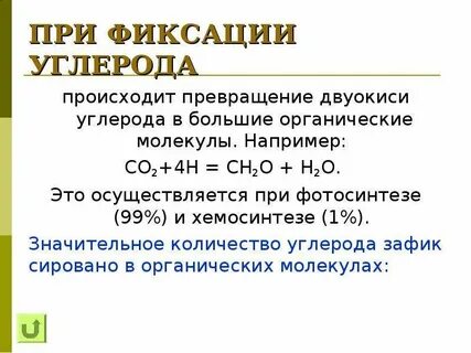 Значение хемосинтеза для круговорота веществ в природе