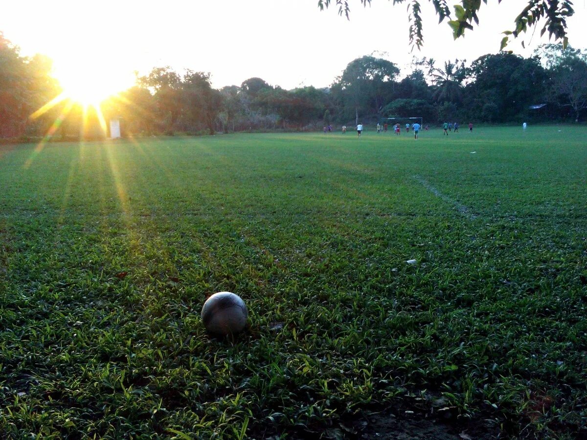 Игра мяч на траве. Футбольное поле. Футбол поле. Футбольный мяч на поле. Мячик футбольный на поле.