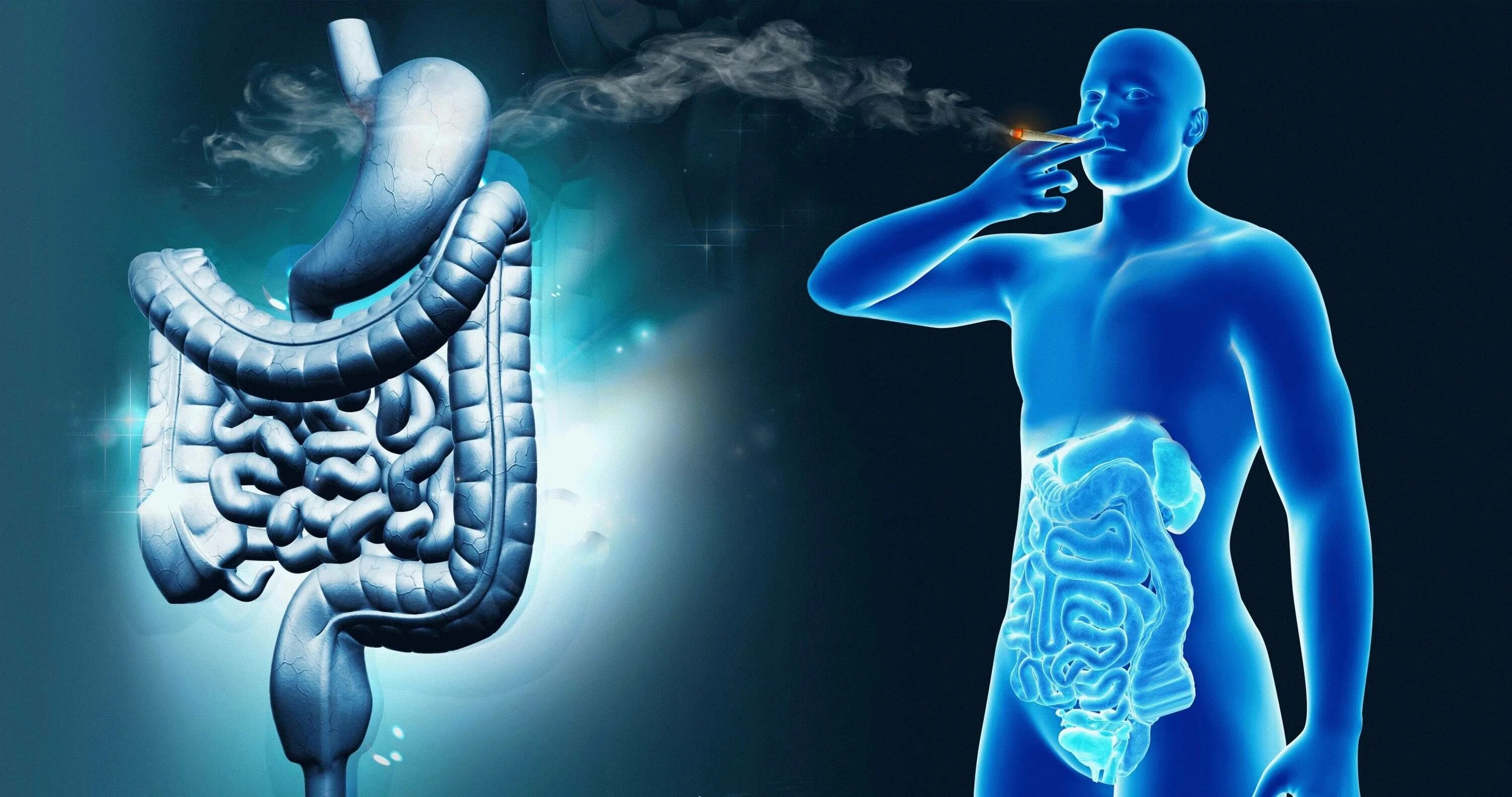 Никотин обмен веществ. Влияние табачного дыма на органы пищеварительного тракта. Влияние курения на Пищеварин. Желудочно-кишечный тракт курильщика. Воздействие курения на пищеварительную систему.