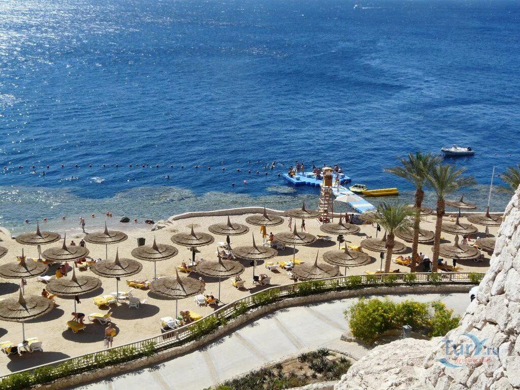 Риф Оазис Шарм-Эль-Шейх. Риф Оазис Блю Бэй Египет. Reef Oasis Blue Bay Resort Spa 5.