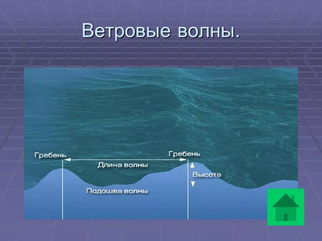 Подошва волны это. Ветровые волны. Высота волны. Ветровые волны высота. Гребень волны подошва волны.